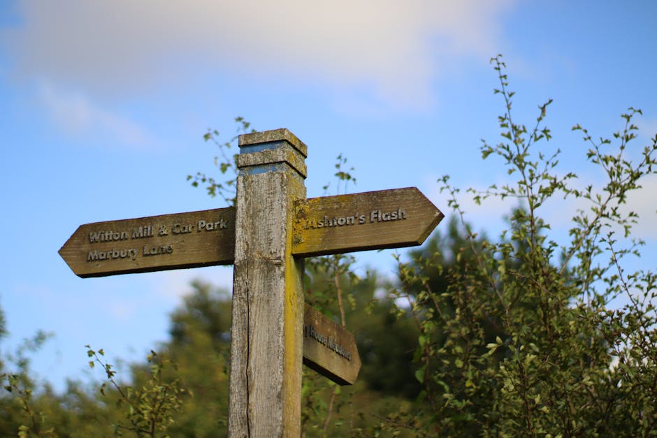 A weathered wooden signpost with four directional arrows, each pointing to different local destinations. The top arrow points to 'Wilton Mill & Car Park Marbury Lane,' the second to 'Ashton's Flash,' and the remaining two to other locations, all engraved into the wood. The signpost is mounted on a moss-covered, upright wooden post situated outdoors among green shrubbery and foliage, with some small branches and leaves partially obscuring parts of the sign. The background features a clear blue sky with soft, wispy clouds, indicating daylight. This image reflects an outdoor setting that could be part of a residential area or park, relevant to house relocations or moving logistics involving navigating local lanes, as seen in the context of house removals or furniture transport in the Aldersbrook Estate area, as described on manwithvanwanstead.co.uk.