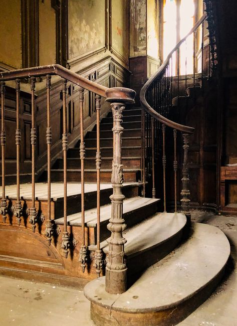 An interior view of a staircase in a Wanstead Victorian home, showing a wooden banister with a polished finish and black metal spindles. The staircase is carpeted with a red and black patterned runner, which extends partially up the steps. The wall beside the staircase features cream-colored paneling with decorative molding, and a decorative wooden skirting board runs along the base. Natural light illuminates the area, highlighting the intricate details of the banister and the texture of the carpet. The image reflects a typical domestic environment where home relocation or furniture transport services, such as those provided by Man with Van Wanstead, might be involved in navigating staircase challenges during a house move.